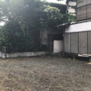 草刈り枝落とし後