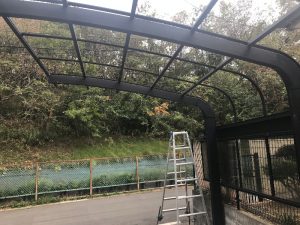 ポリカ屋根撤去時のカーポート