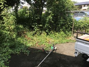 日野市現場　草刈り植木枝落とし作業前