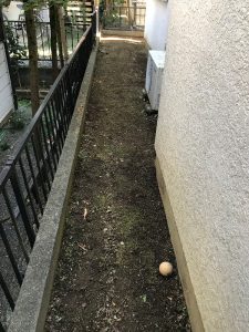 家周り草刈り完了