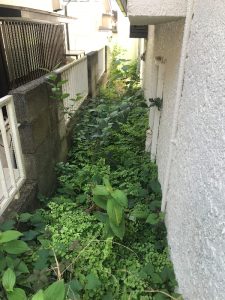 草刈り前横浜市金沢区現場