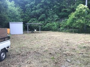 空き地草伐採後1