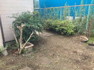 草刈枝落とし南町田現場