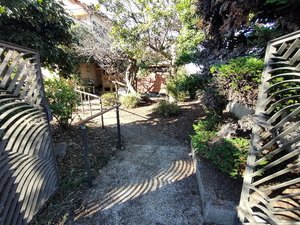 草刈り庭木枝落とし完了