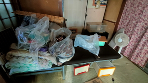 金属フレームベット解体前