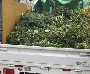枝落とし植木ゴミ搬出積み込み