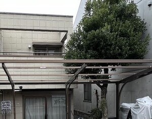 植木伐採とカーポート解体撤去